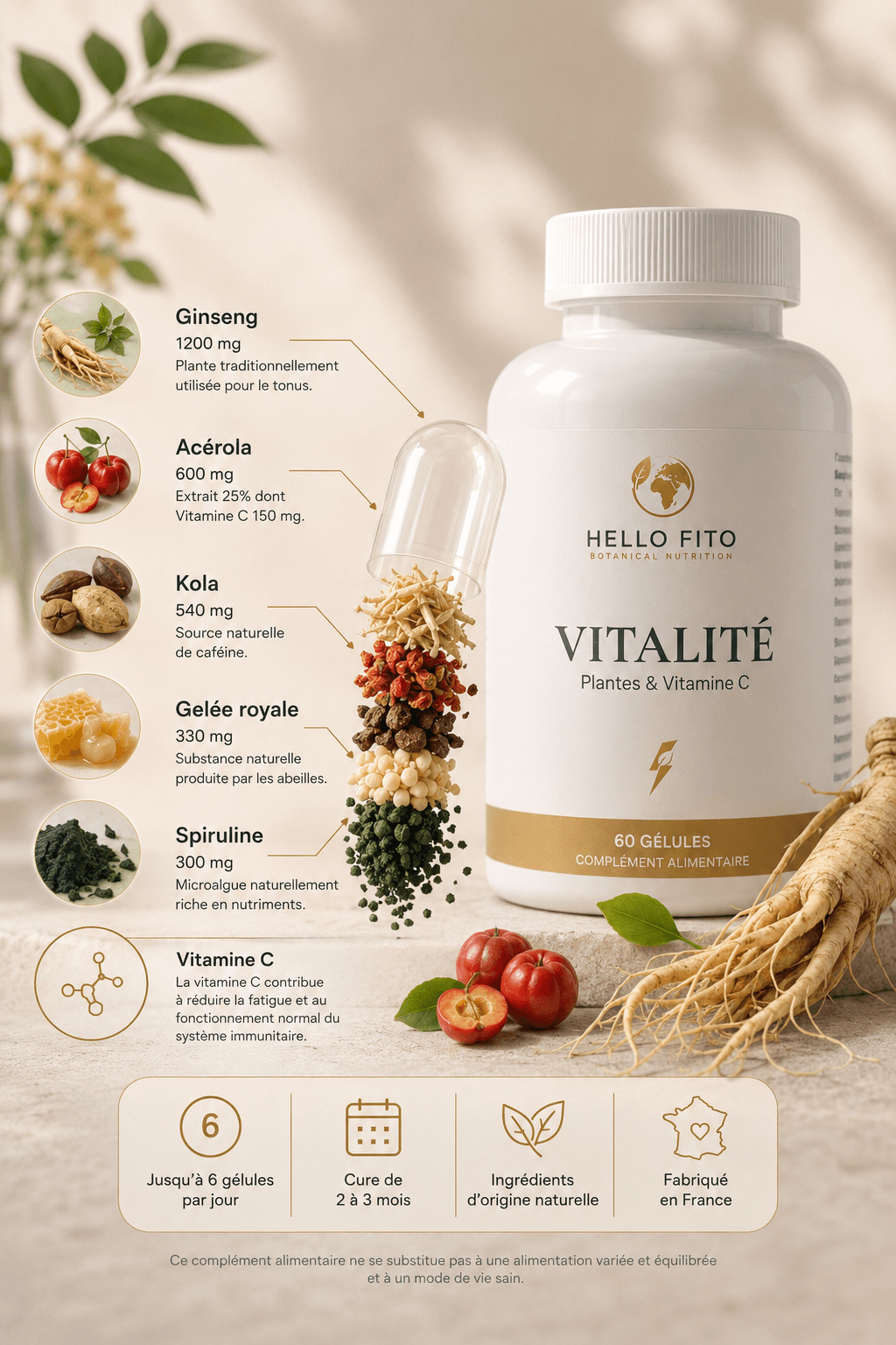 VITALITÉ - Plantes & Vitamine C