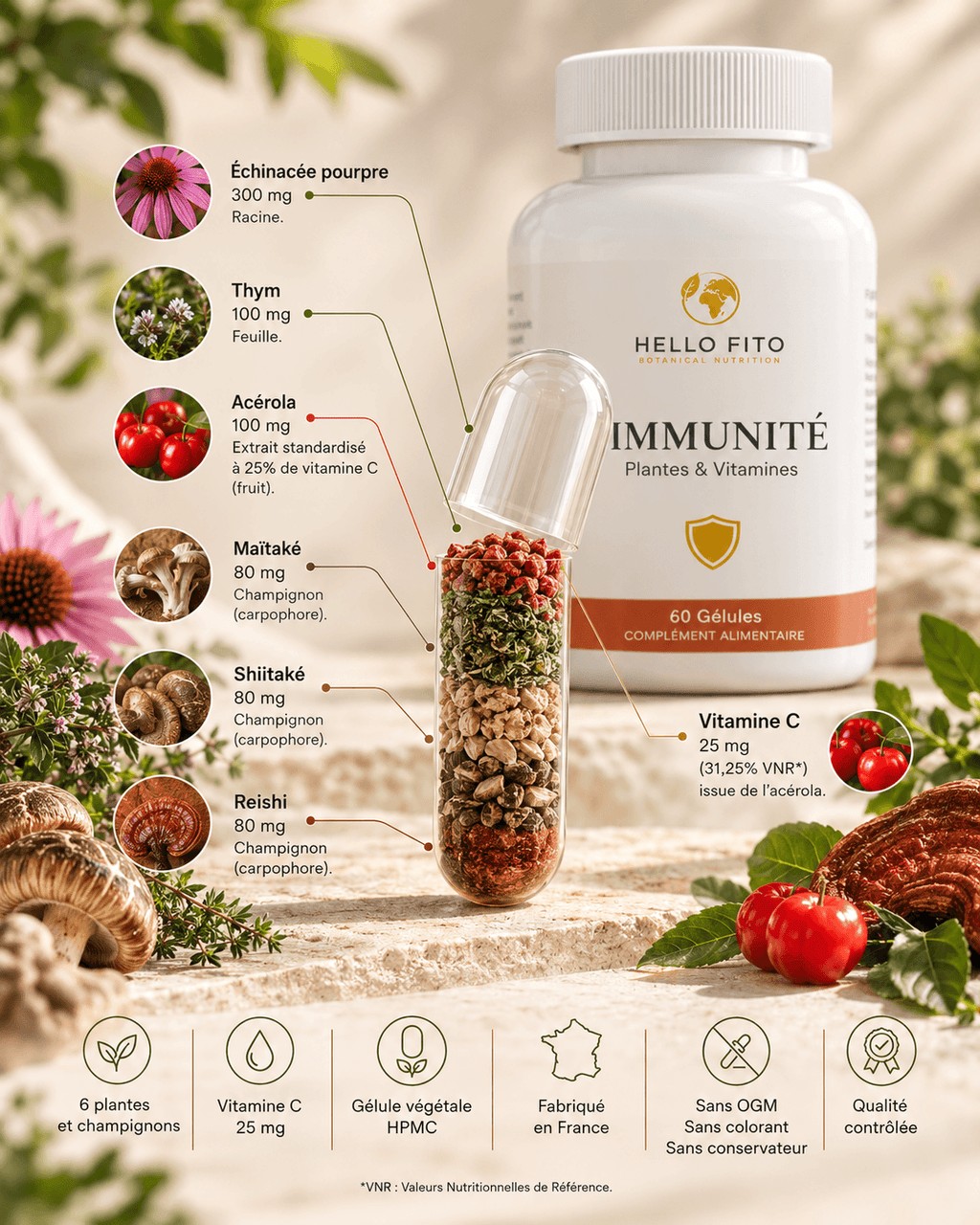 IMMUNITÉ - Plantes & Vitamines